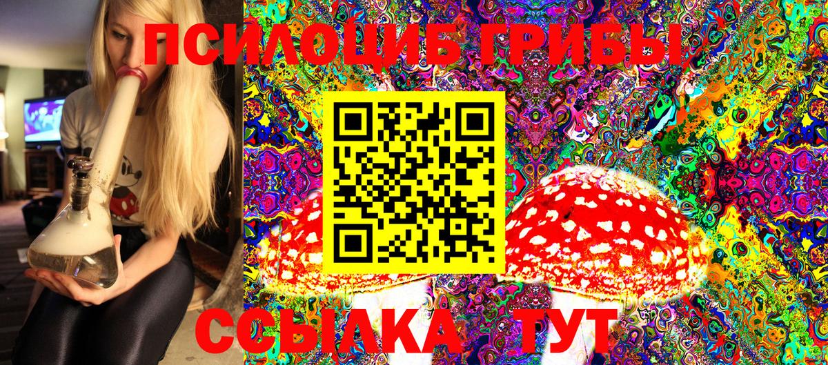 Галлюциногенные грибы Psilocybe Надым